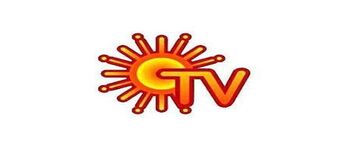 Television Advertising, Advertisement on Sun TV, How much does TV advertising cost
